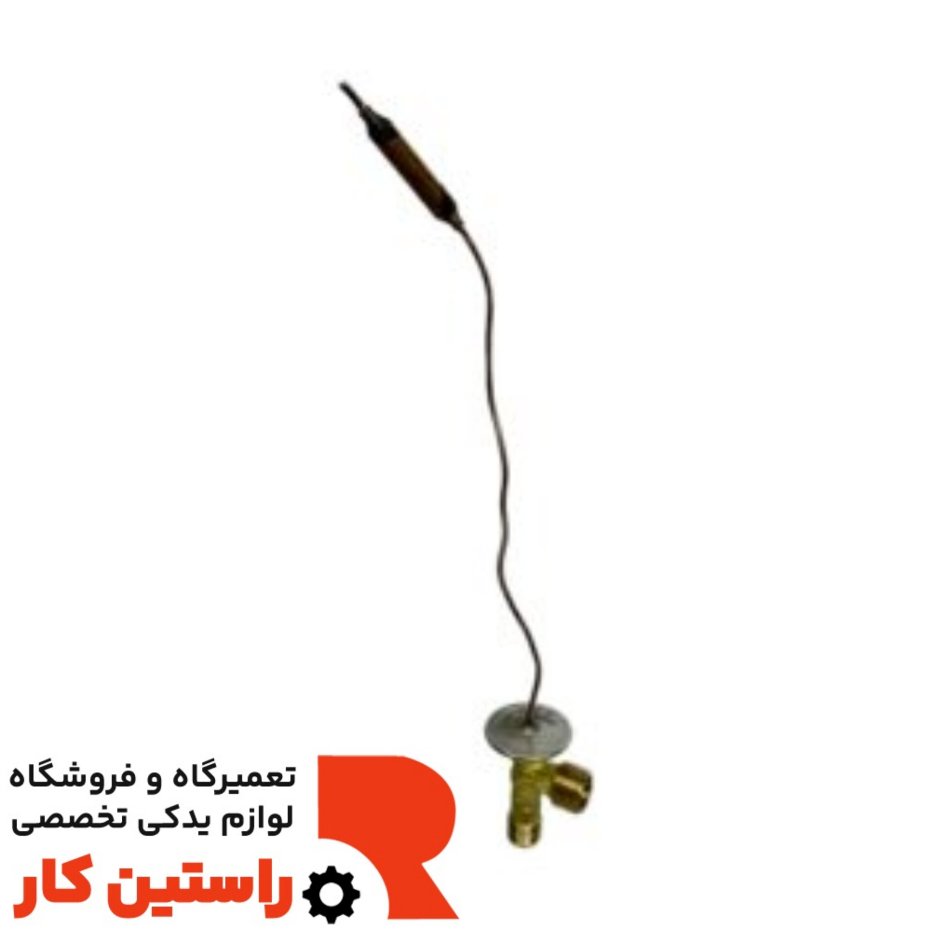 اسپکشن والف رونیز
