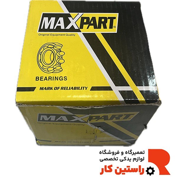 دينام رونيز مالزی