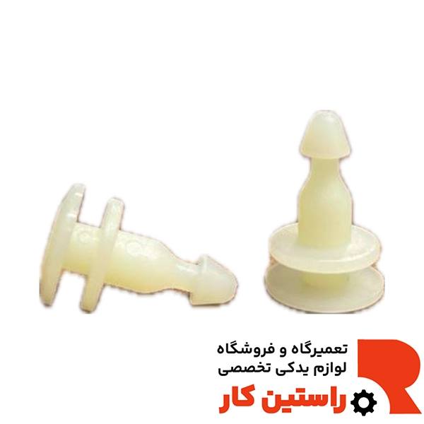 خار دورگلگير نري ریچ
