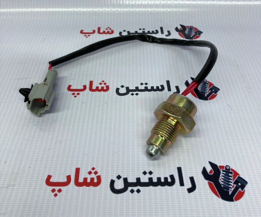 فشنگی دنده عقب ریچ