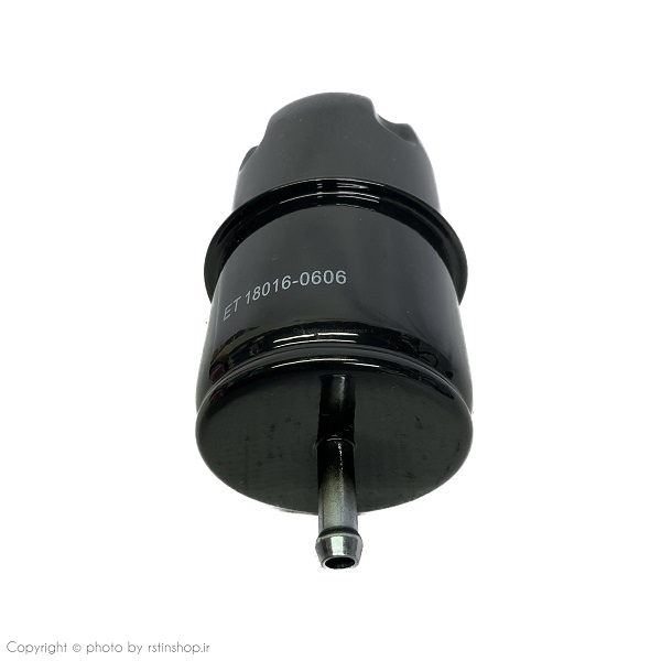 فیلتر بنزین ریچ