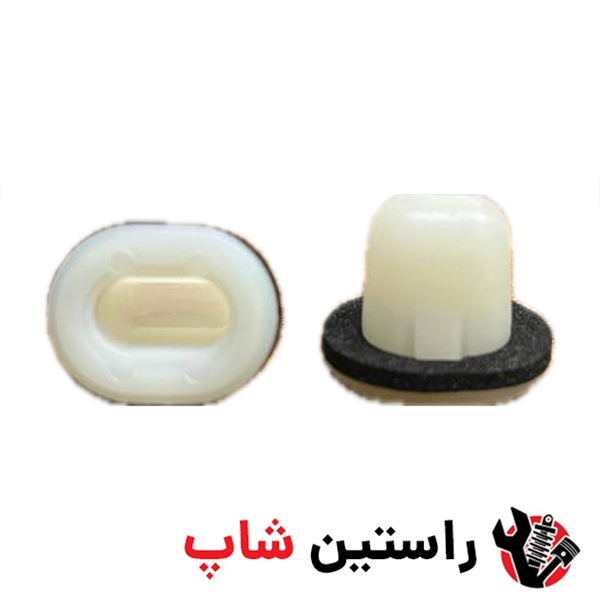 خار دور گلگیر مادگی ریچ