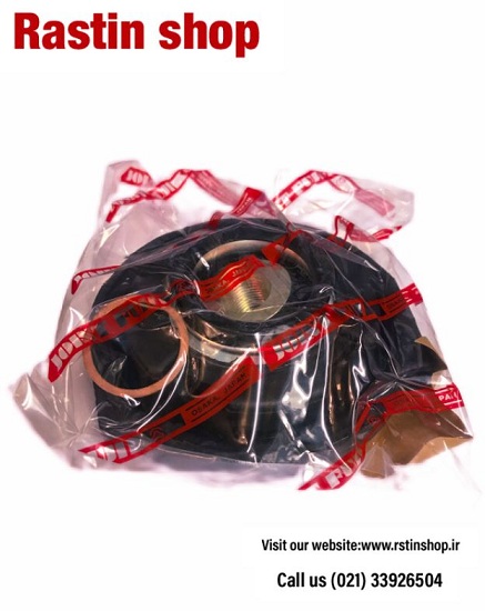 منجید گاردان رونیز(ژاپن)