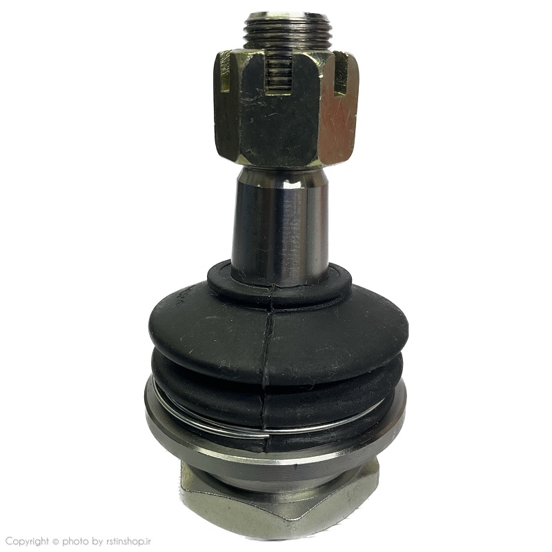 خرید و قیمت سیبک طبق پایین ریچ (تایوان)