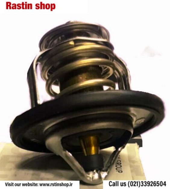 ترموسات رونیز اصلی