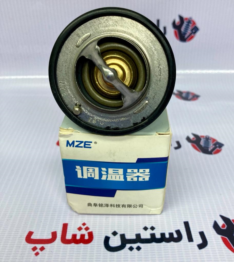 ترموسات ریچ