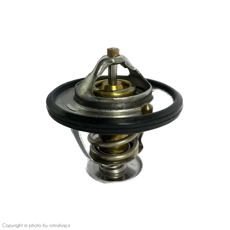 ترموسات ریچ اصلی